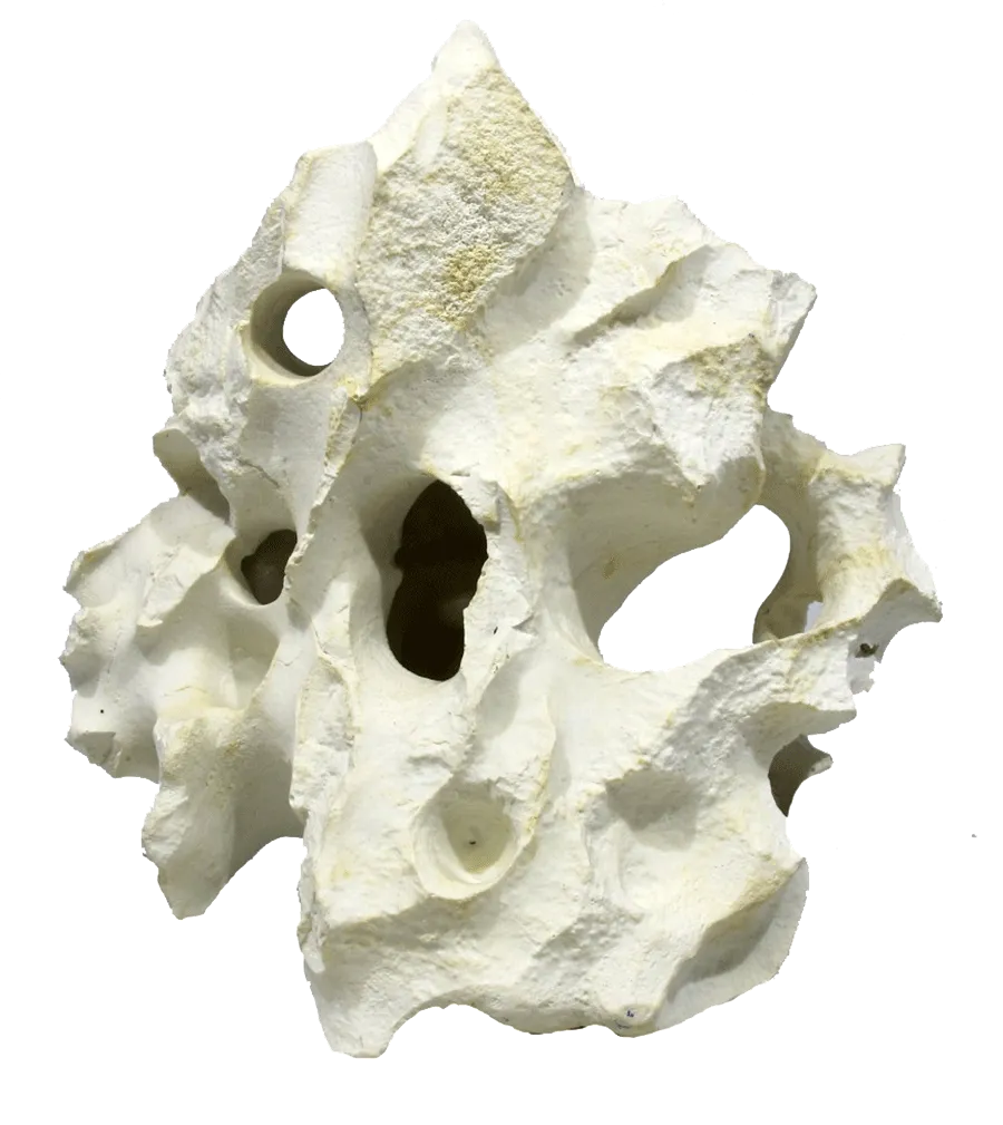 Aquamate - Ornament Holey Rock (Small)