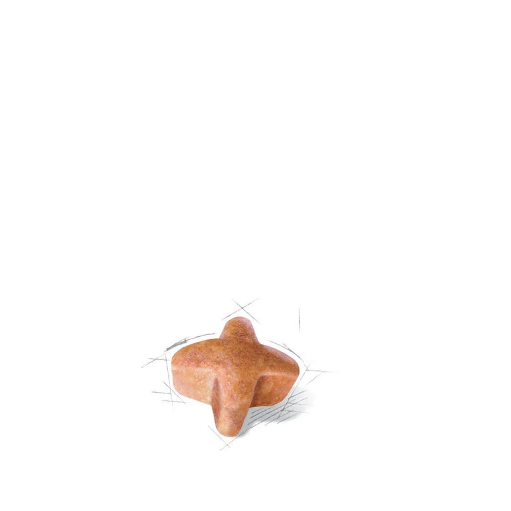 German Shepherd Adult Dry Dog Food