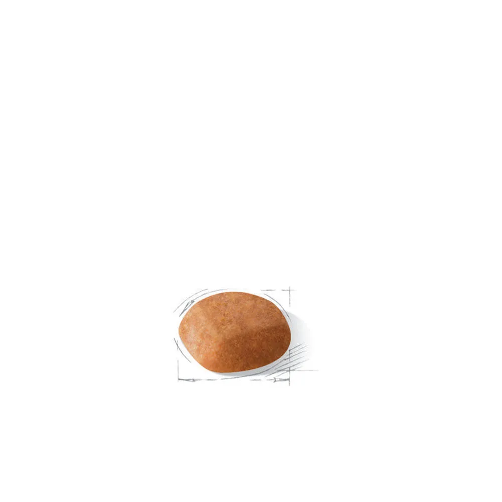 Golden Retriever Puppy Dry Dog Food