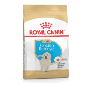 Golden Retriever Puppy Dry Dog Food