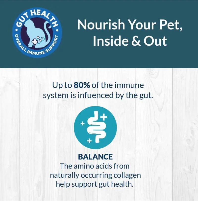 Goofy Fresh Sea Food Bone Broth for Cats and Kittens-100ml
