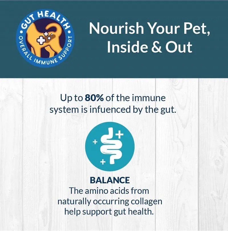 Goofy Tails Sea Food Bone Broth for Dogs and Puppies