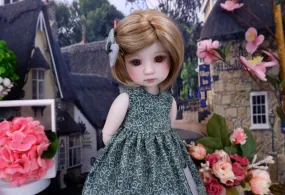 Lucky Trefoil - dress with shoes for Ruby Red Fashion Friends doll