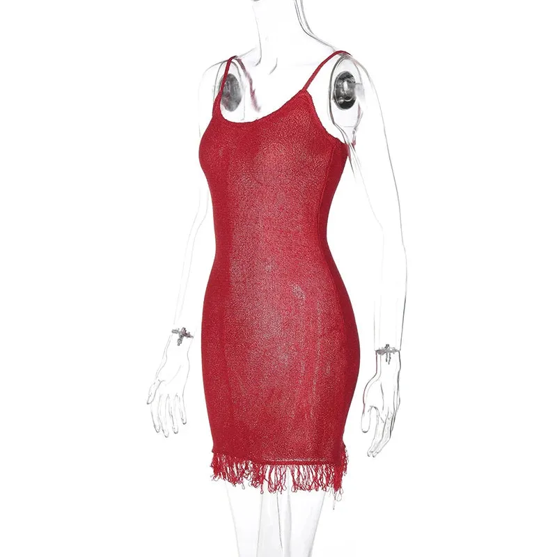 Mesh Fringe Mini Dress for Nightclub Outings