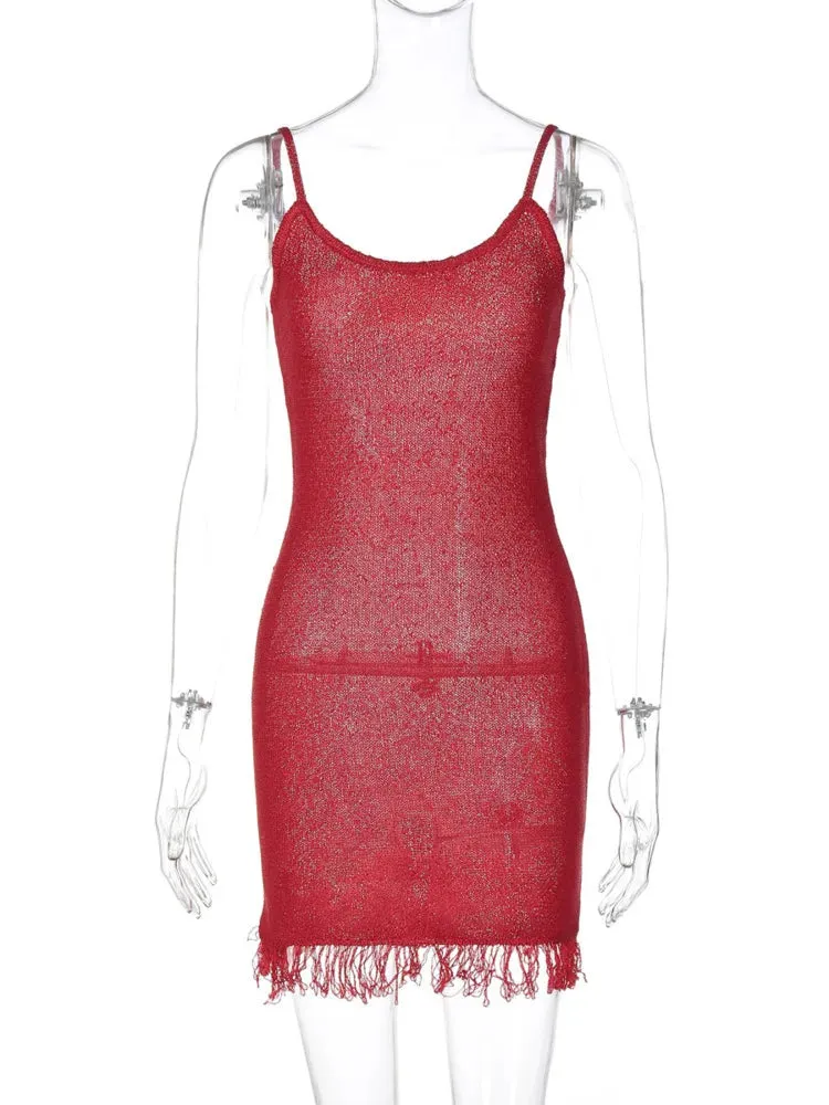 Mesh Fringe Mini Dress for Nightclub Outings