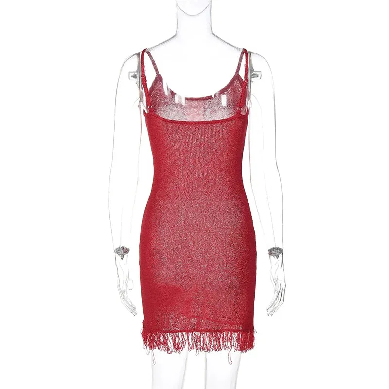 Mesh Fringe Mini Dress for Nightclub Outings