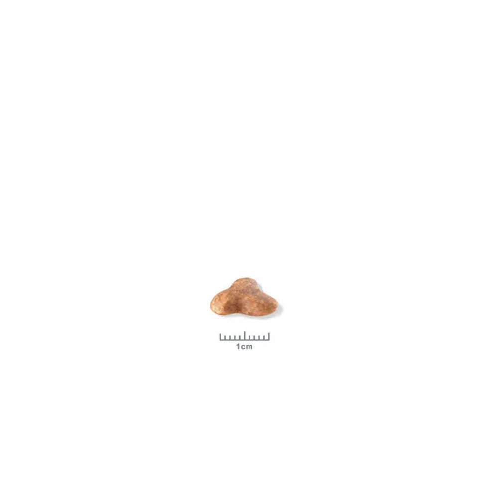 Pug Adult Dry Dog Food