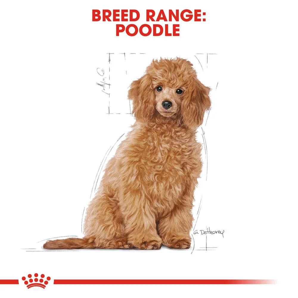 Royal Canin Dog Poodle Puppy Dry Food 3kg
