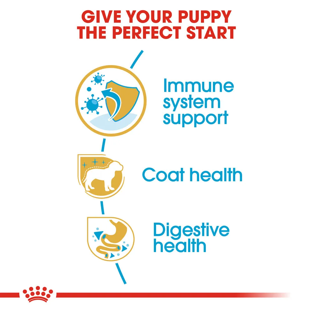 Royal Canin Dog Poodle Puppy Dry Food 3kg