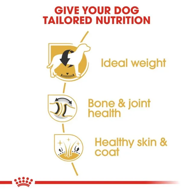 Royal Canin Labrador Retriever Adult